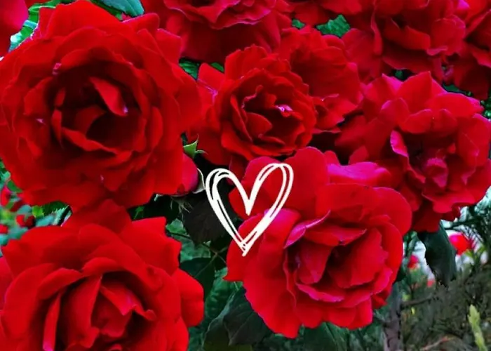 別荘 Kirmizi Hobbit Evi