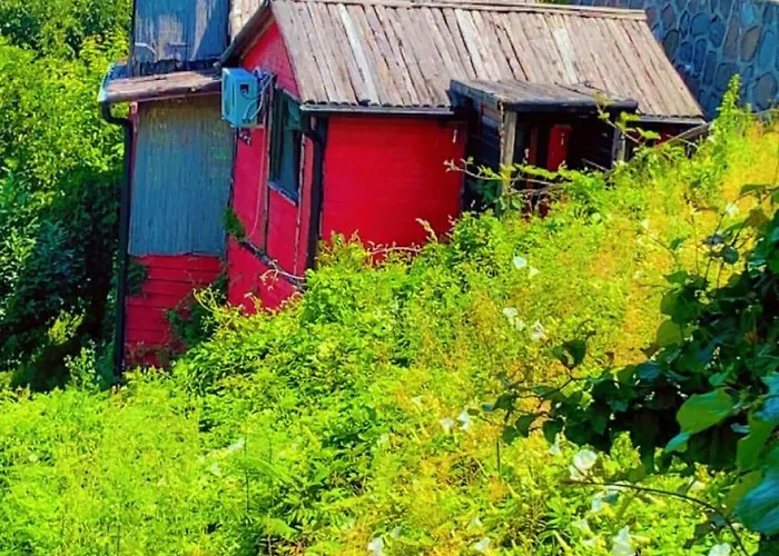 Kirmizi Hobbit Evi * サパンジャ